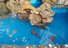 高级柔性多彩防水涂料